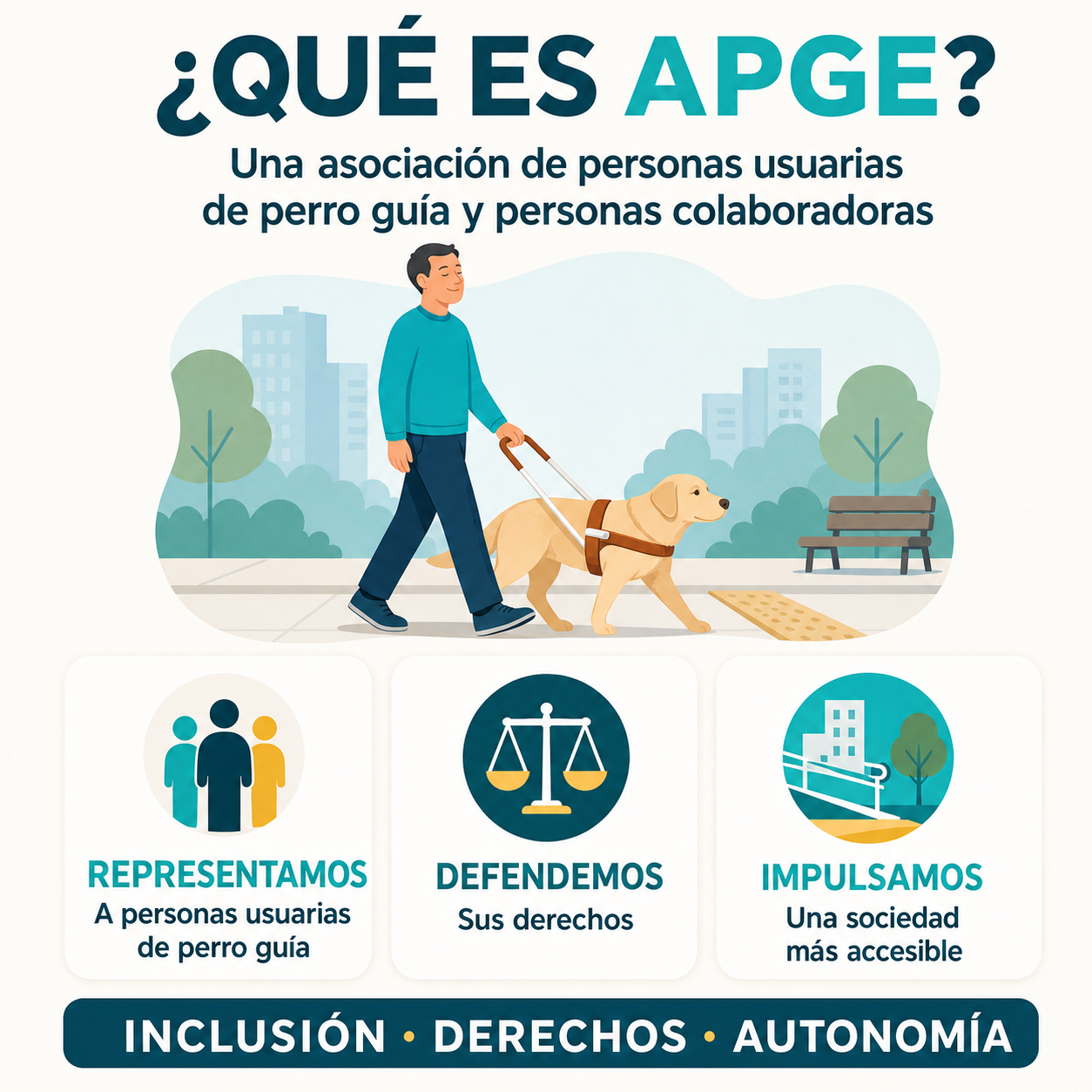 Descripción de imagen: Infografía que explica que APGE representa a las personas usuarias de perro guía, defiende sus derechos e impulsa una sociedad más accesible, promoviendo inclusión, derechos y autonomía.
